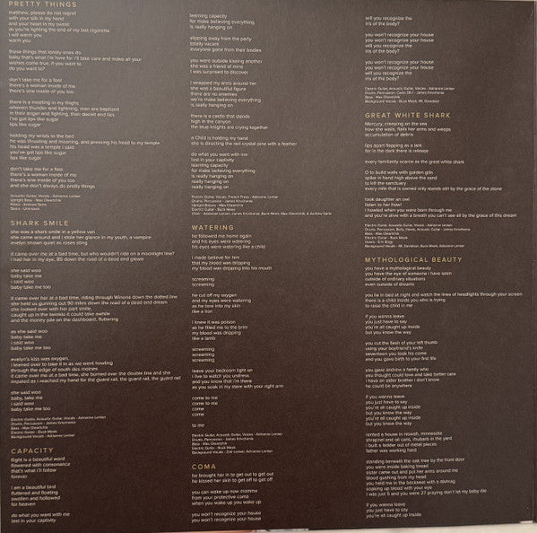 Big Thief : Capacity (LP, Album, RE)