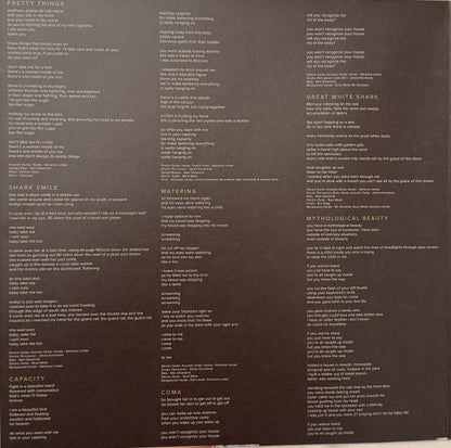 Big Thief : Capacity (LP, Album, RE)