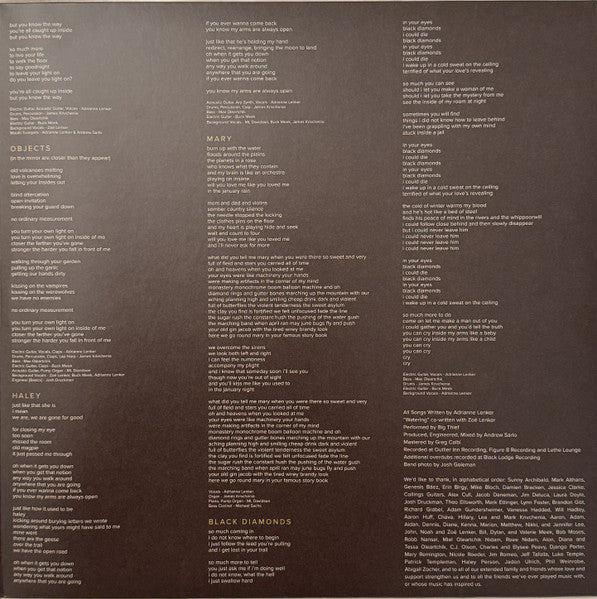 Big Thief : Capacity (LP, Album, RE)