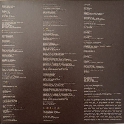 Big Thief : Capacity (LP, Album, RE)