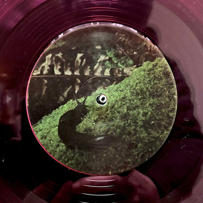 Yo La Tengo : Old Joy (LP, Tra)