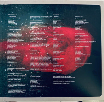 Steven Wilson : The Overview (LP, Album)
