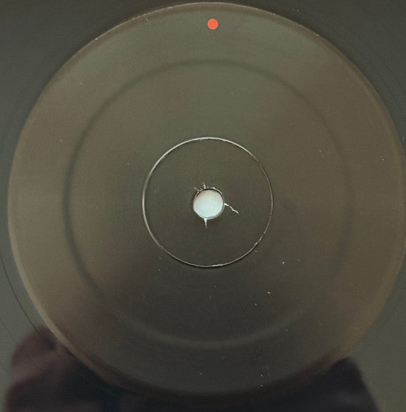 Gastr Del Sol : Camoufleur (LP, Album, RE)