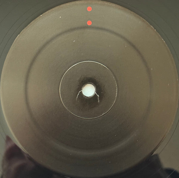 Gastr Del Sol : Camoufleur (LP, Album, RE)