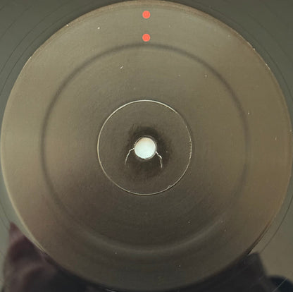 Gastr Del Sol : Camoufleur (LP, Album, RE)