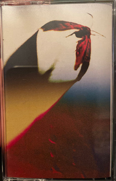 Scowl (4) : Are We All Angels (Cass, Album, Ltd, Sol)