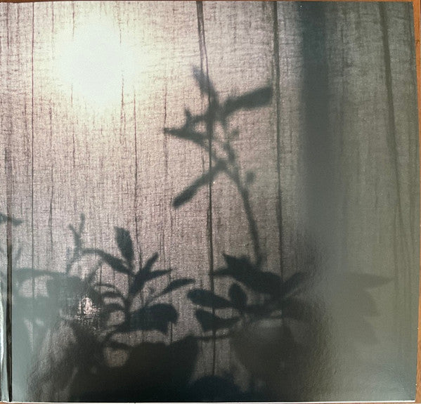 Beirut : A Study Of Losses (LP, Blu + LP, S/Sided, Etch, Blu + Album)