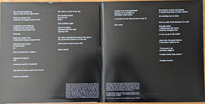 Gastr Del Sol : Upgrade & Afterlife (12" + LP + Album, RE)