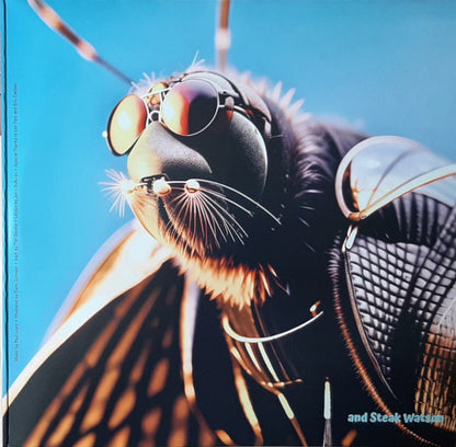 Butthole Surfers : Live At The Leather Fly (2xLP, Pin)