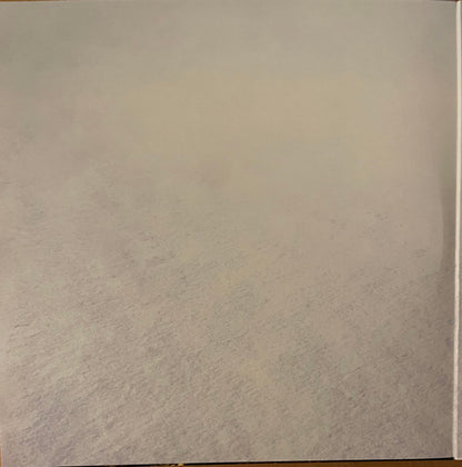 Regina Spektor : Remember Us To Life (2xLP, Album, Dlx, Ltd, RE, Cle)