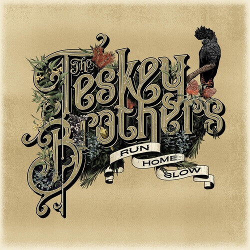 The Teskey Brothers : Run Home Slow (LP, Album, RE)