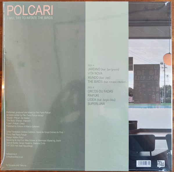 Paolo Polcari : I Will Try To Imitate The Birds (LP, Album)