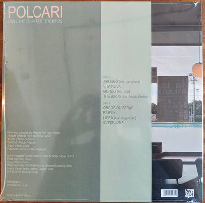 Paolo Polcari : I Will Try To Imitate The Birds (LP, Album)