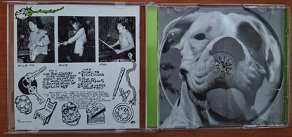 Green Day : 1,039 / Smoothed Out Slappy Hours (CD, Comp, Enh, RE, RM)