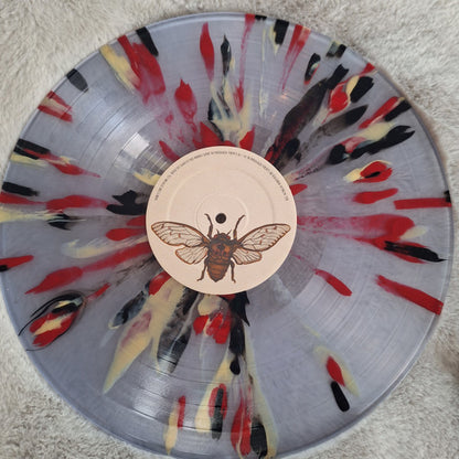 Laura Stevenson : Late Great (LP, Cle)