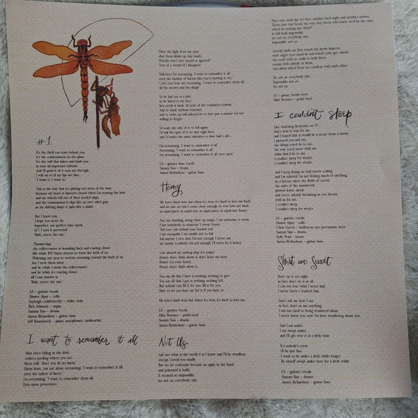 Laura Stevenson : Late Great (LP, Cle)