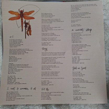 Laura Stevenson : Late Great (LP, Cle)