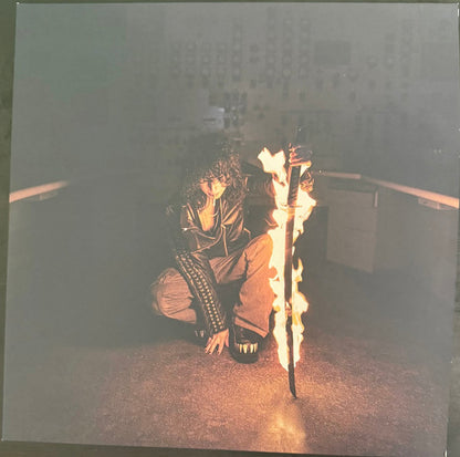 Jane Remover : Revengeseekerz (LP + LP, S/Sided + Album)