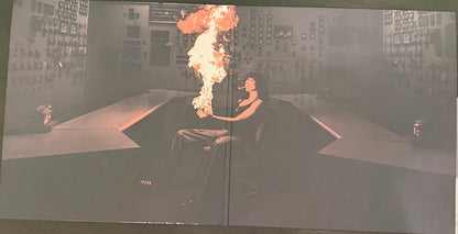 Jane Remover : Revengeseekerz (LP + LP, S/Sided + Album)