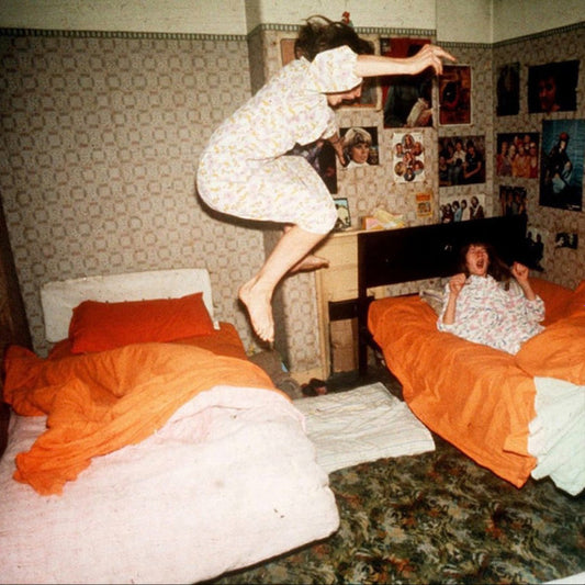 Home Is Where : I Became Birds (LP, Album, RP, Gua)