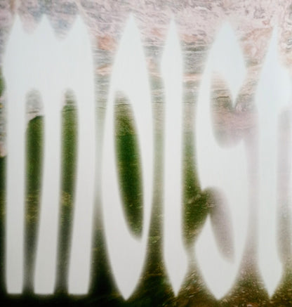 Wet Leg : Moisturizer (LP, Album)