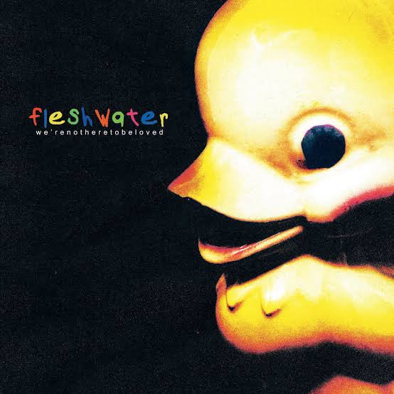 Fleshwater : We’re Not Here To Be Loved  (LP, Album, RP, Cle)