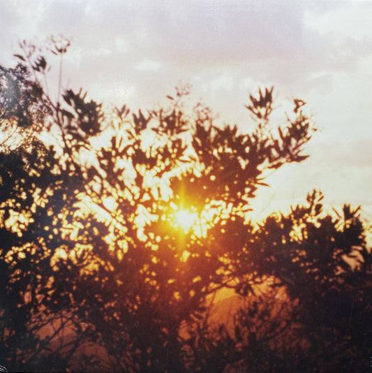 Kurt Vile / Luke Roberts : Classic Love  (12", EP)