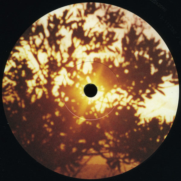 Kurt Vile / Luke Roberts : Classic Love  (12", EP)