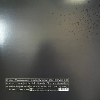 Elliott : False Cathedrals (LP, Album, RP, Bro)