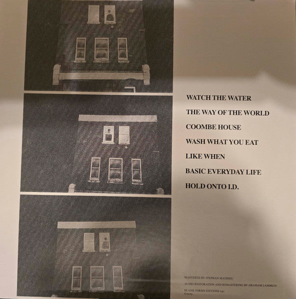 The Shadow Ring : Hold Onto I.D. (LP, Album)