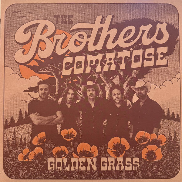 The Brothers Comatose : Golden Grass (LP, Album, Ora)