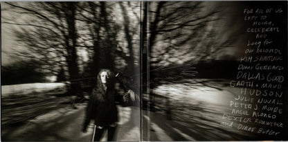 Neko Case : Neon Grey Midnight Green (CD, Album)