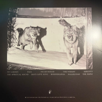 Agriculture : The Spiritual Sound (LP, Album, Ltd, Lem)