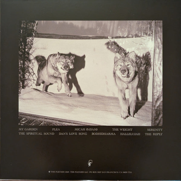 Agriculture : The Spiritual Sound (LP)