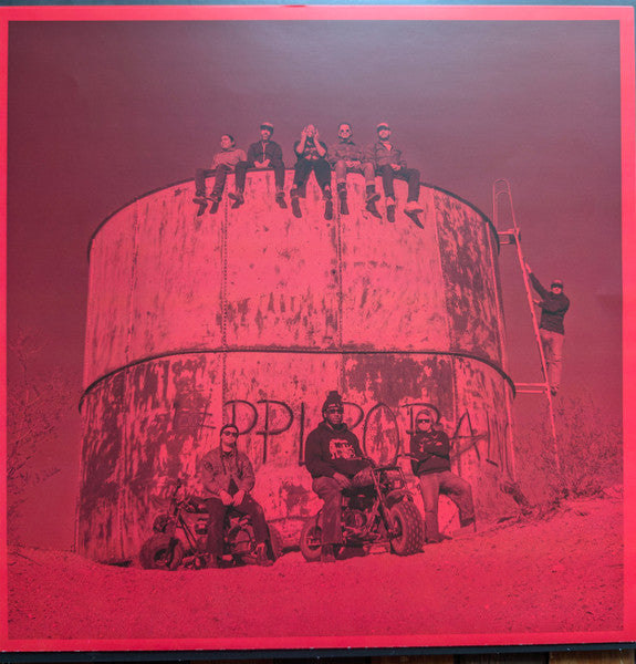 Upchuck (2) : I'm Nice Now (LP, Album, Ltd, Sil)