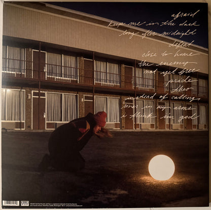 Flock Of Dimes : The Life You Save (LP, Album, Ltd, Col)