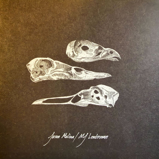 Jason Molina / MJ Lenderman : The Last 3 Human Words (Demo) / Just Be Simple (Songs: Ohia Cover) (7", Single)