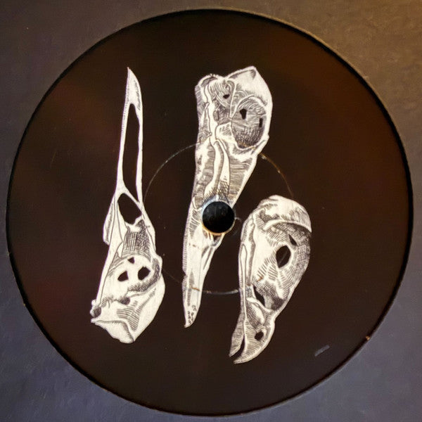 Jason Molina / MJ Lenderman : The Last 3 Human Words (Demo) / Just Be Simple (Songs: Ohia Cover) (7", Single)