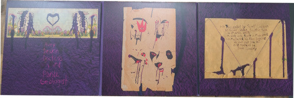 Animal Collective : Feels (3xLP, Album, Ltd, M/Print, RE, Gra)