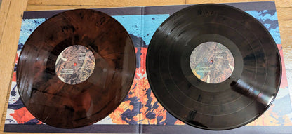 Grizzly Bear : Painted Ruins (2xLP, Album, Ltd, RE, Red)