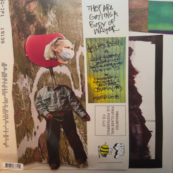 they are gutting a body of water : Gestures Been (LP)