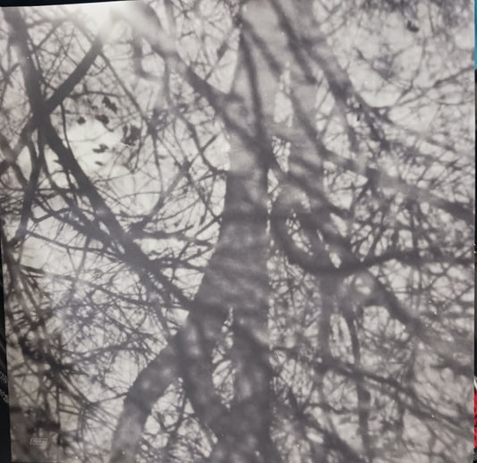 Grouper : Way Their Crept (LP, Album, RE)
