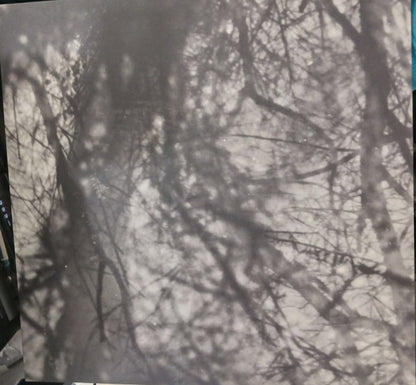 Grouper : Way Their Crept (LP, Album, RE)