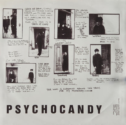 The Jesus And Mary Chain : Psychocandy (LP, RE, RM, 40t)