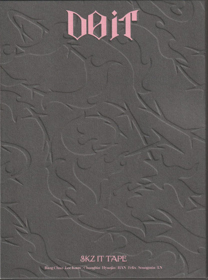 Stray Kids : DO IT (CD, MiniAlbum, DO )