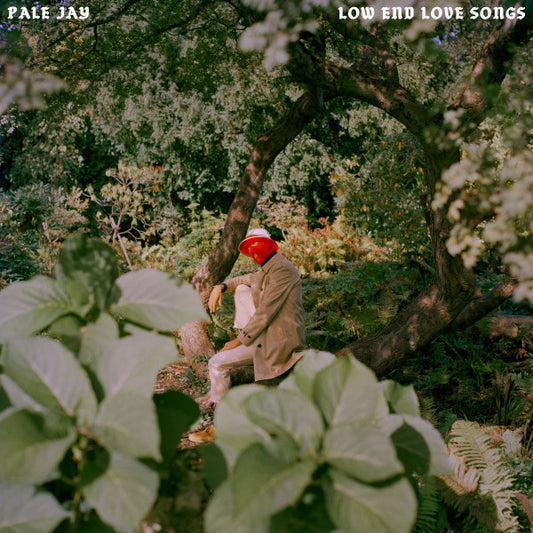 Pale Jay : Low End Love Songs (LP)