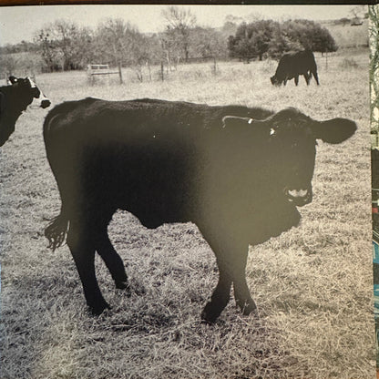 Khruangbin : The Universe Smiles Upon You ii (CD, Album)