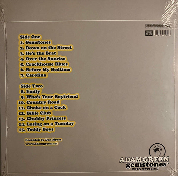 Adam Green : Gemstones (LP, 20t)