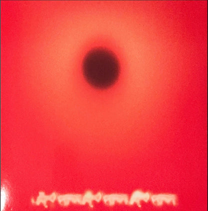 YHWH Nailgun : 45 Pounds (LP, Album, Yel)