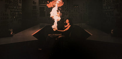 Jane Remover : Revengeseekerz (12", Ora + 12", S/Sided, Ora + Album)